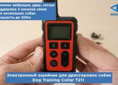  Электронный ошейник для дрессировки собак Dog Training Collar T211 (до 300 метров)